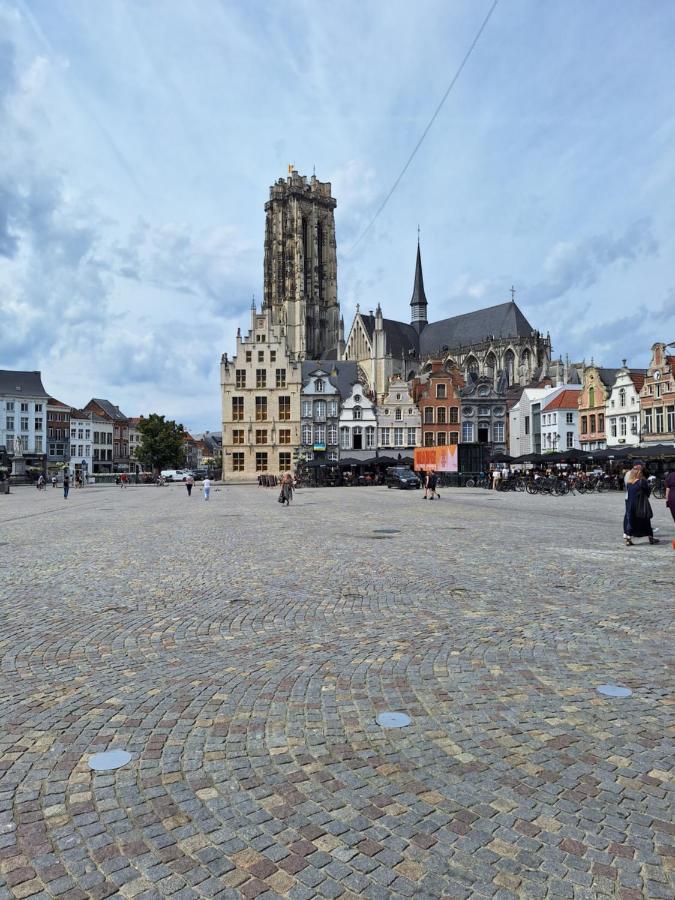 Huis Alna 4 Мехелен Экстерьер фото